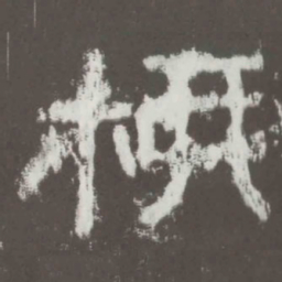 柳书法图片
