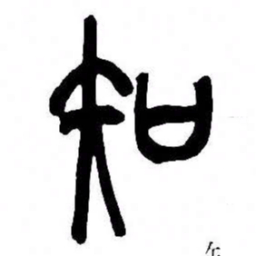 来楚生知书法图片