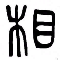 来楚生相书法图片