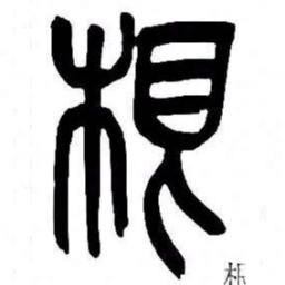 来楚生根书法图片