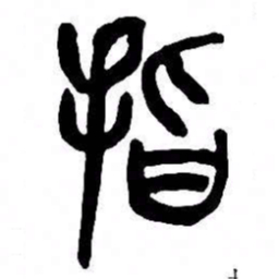 来楚生指书法图片