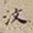 罗天池汶书法图片
