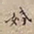 罗天池婚书法图片