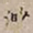 罗天池渺书法图片