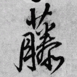 王铎藤书法图片