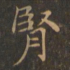 王羲之肾书法图片