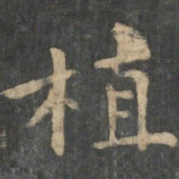 植书法图片