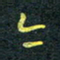 花爱军今书法图片
