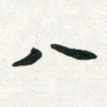 许邦志八书法图片
