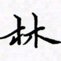 张建华林书法图片