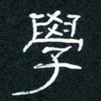 王登峦学书法图片