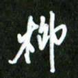 夏录涛柳书法图片