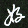 夏录涛好书法图片