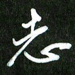夏录涛志书法图片