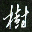 夏录涛树书法图片