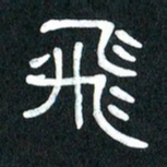 魏建国飞书法图片