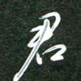 韩录涛君书法图片