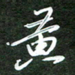 韩录涛黄书法图片