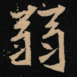 魏碑弱书法图片