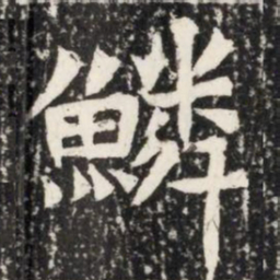 鱗书法图片