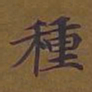 敦煌种书法图片