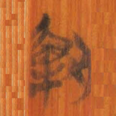清华简解书法图片