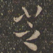 陶弘景芝书法图片