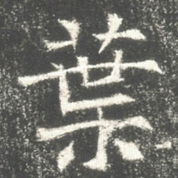 葉书法图片