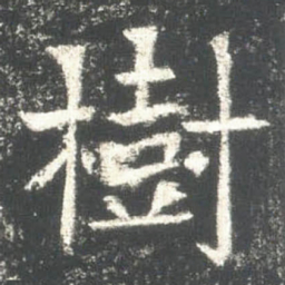 樹书法图片
