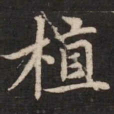 赵孟頫植书法图片