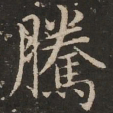 赵孟頫腾书法图片