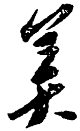 毛泽东美书法图片