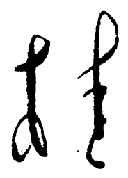 毛泽东桂书法图片