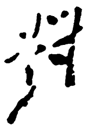 毛泽东对书法图片