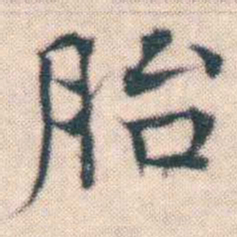 何绍基胎书法图片