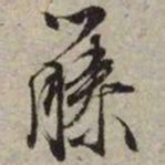 文征明藤书法图片