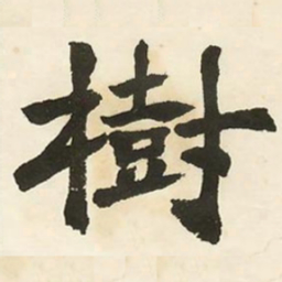 邓石如树书法图片
