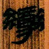 北大汉简变书法图片
