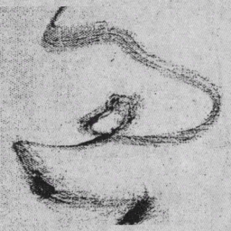 王铎过书法图片