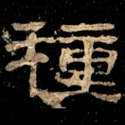 種书法图片