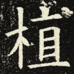 欧阳询植书法图片