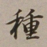 董其昌种书法图片