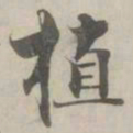 张即之植书法图片