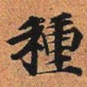 種书法图片