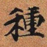 種书法图片