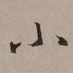 赵孟頫小书法图片