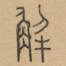 解书法图片