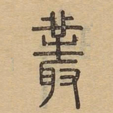 丛书法图片