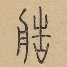 造书法图片