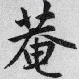 赵孟頫庵书法图片